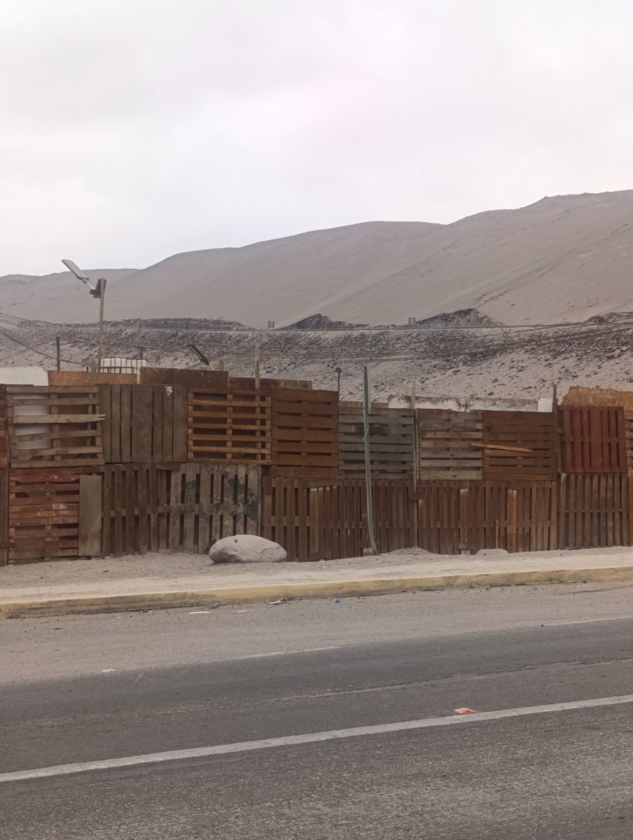 Imagen 5