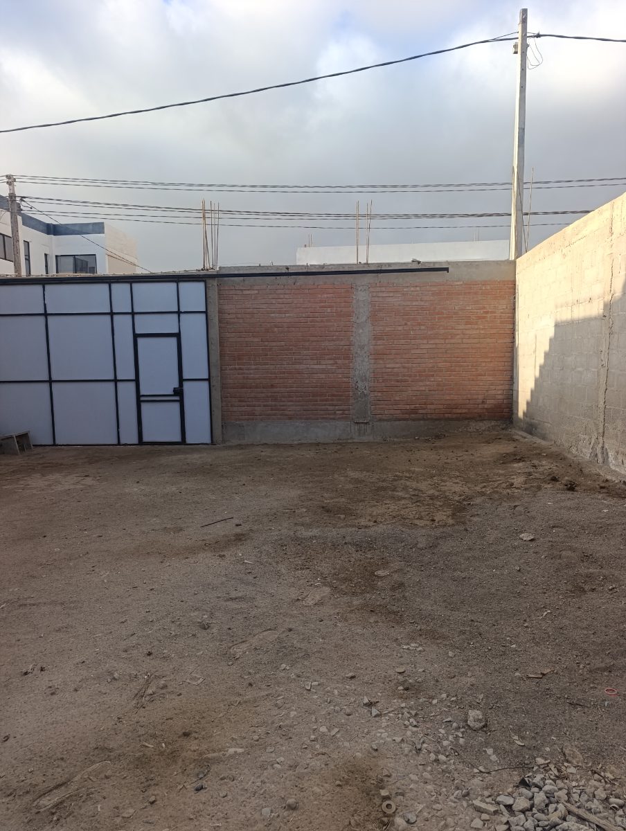 Imagen 8