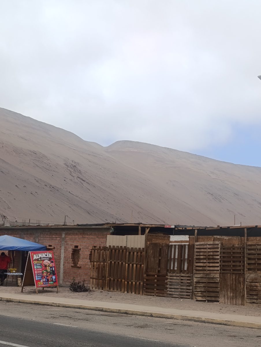 Imagen 6